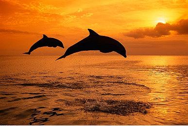 Epic总裁：虚幻6引擎可能2027或2028年才会有